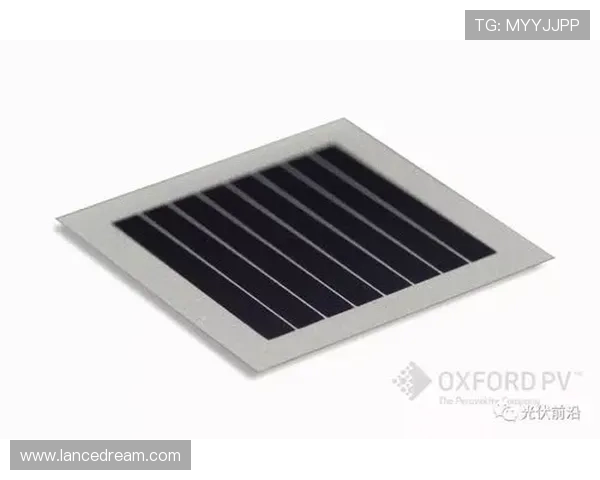 曝太阳估值突破60亿美元 拒绝小股东套现坚持总冠军目标